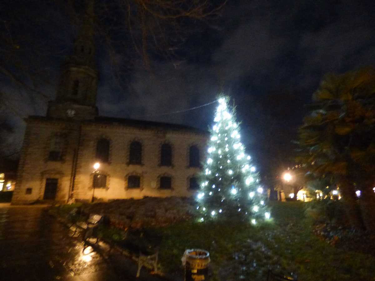 St Paul's Square Xmas tree